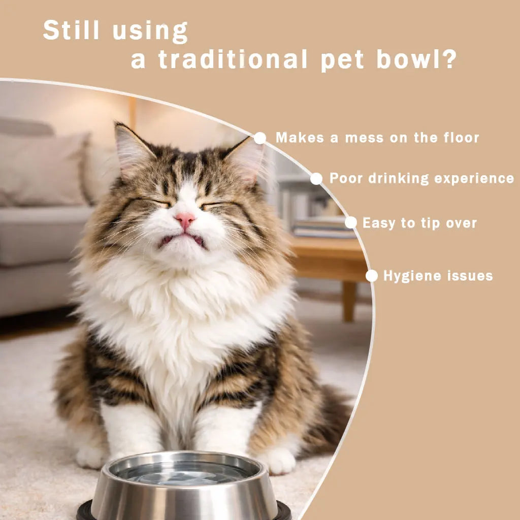 Slow Feeder Dog Bowl - Stops Vomiting & Bloat In 7 days